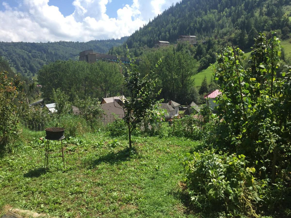 Acasa In Bicaz-Chei - Camere De Inchiriat Cheile Bicazului Екстериор снимка